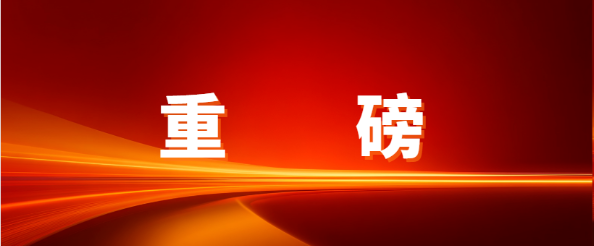 重磅！LDSports乐动入选深圳物流与供应链服务进出口企业30强，赋能企业出海